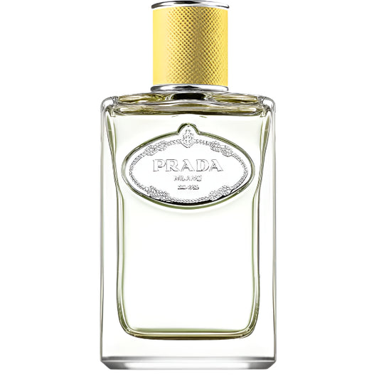Prada Infusion de Gingembre