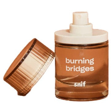 Snif Burning Bridges